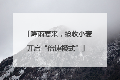 降雨要来，抢收小麦开启“倍速模式”